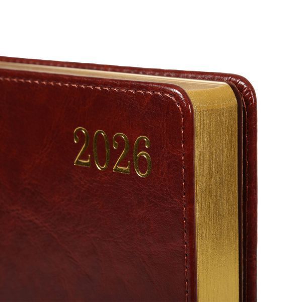 Щоденник А5 Leo Planner датований 2026 "City", твердий, коричневий, 368 сторінок 252668 фото