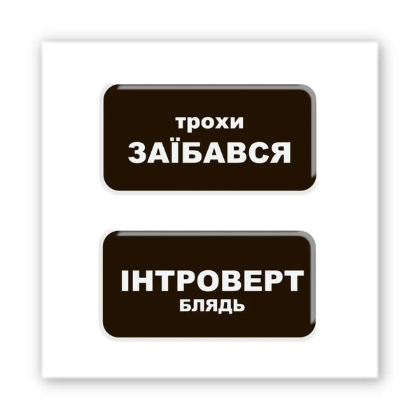 Объемные наклейки "Немного Интроверт" SX-280 фото