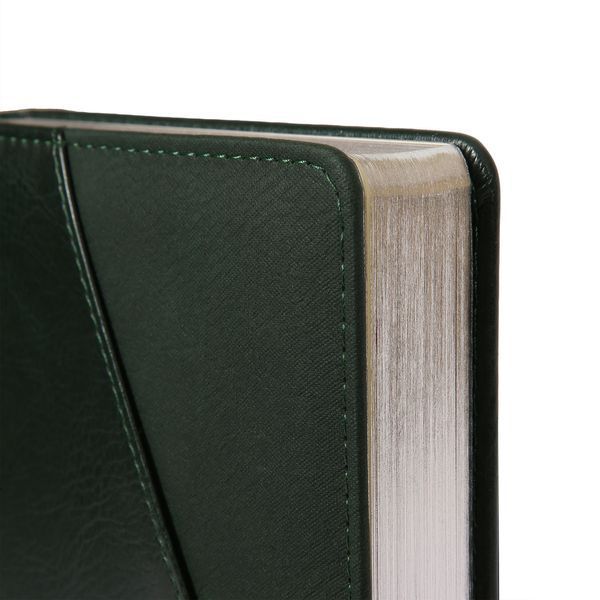 Щоденник А5 Leo Planner датований 2026 "Whisky", твердий, зелений, 368 сторінок 252669 фото