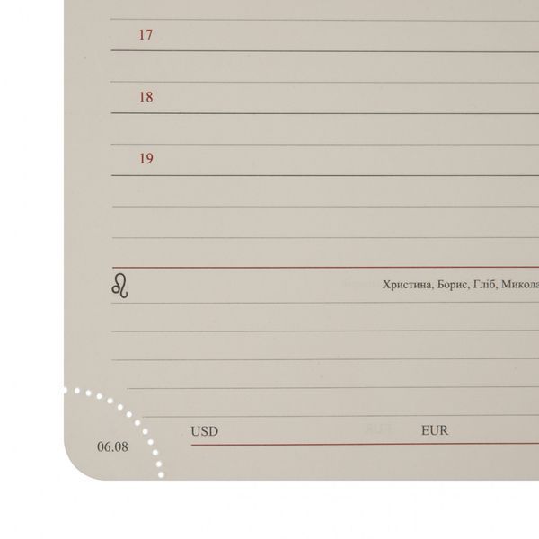 Ежедневник А5 Leo Planner датированный 2026 "Aldento", интегральный, темно-коричневый, 368 стран 252673 фото