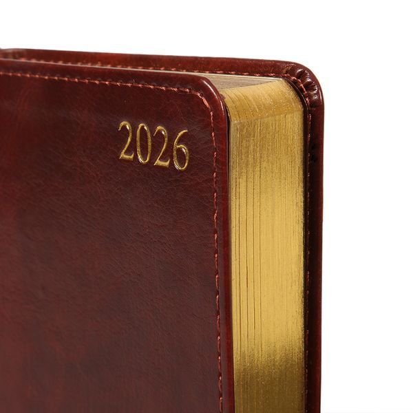 Ежедневник А6 Leo Planner датированный 2026 "Aldento", интегральный, коричневый, 352 страницы 252674 фото