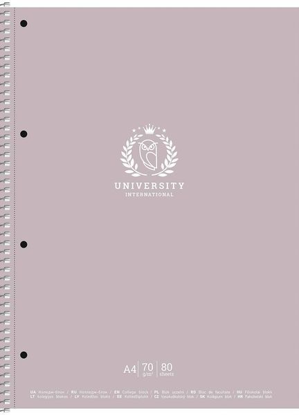 Коледж-блок, A4+, 80 аркушів, клітинка A4-CC-080-6508K фото