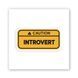 Объемная наклейка "Introvert" SX-322 фото 1