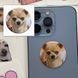 3D-стікер "Мем усмішка" SX-19 фото 1