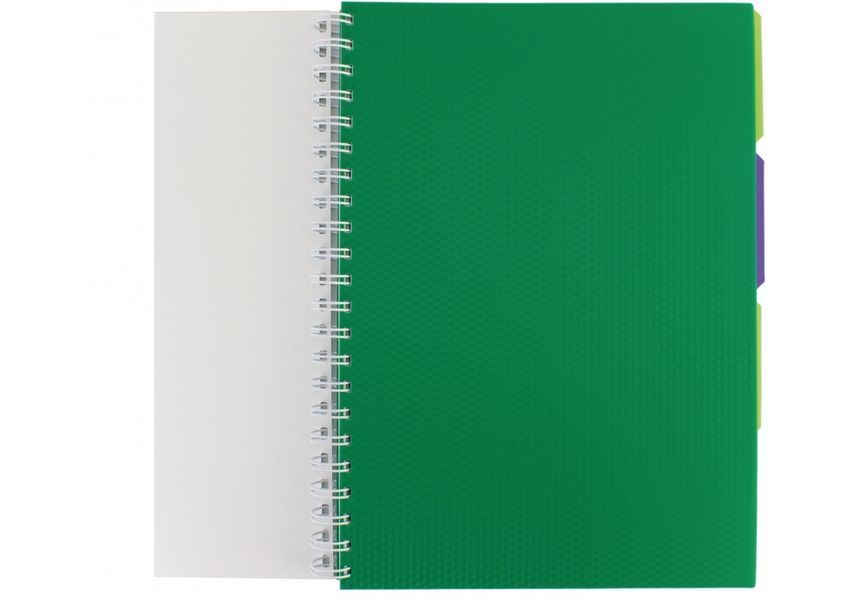 Блокнот Adamant: зелений, A4, пластикова обкладинка, з розділювачами та перфорацією, 120, клітинка O20843-04 фото