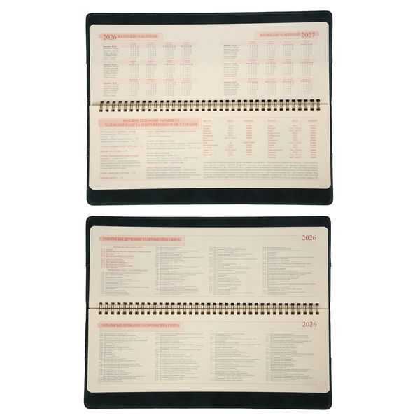 Планинг настольный 34х13 см Leo Planner датированный 2026 "Case", темный изумруд, 128 стра 252678 фото