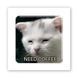 Объемная наклейки "Coffee Cat" SX-287 фото 1