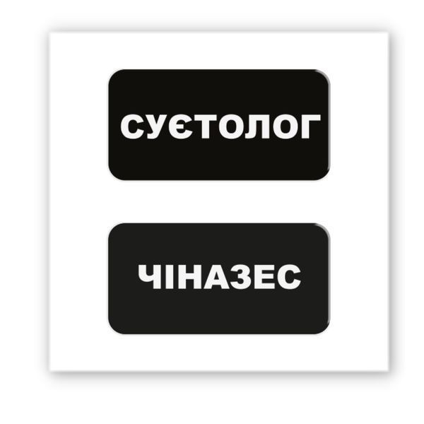 3D-стікер "Суєтолог" SX-210 фото