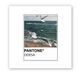 Объемная наклейка "Pantone Odesa" SX-244 фото 1
