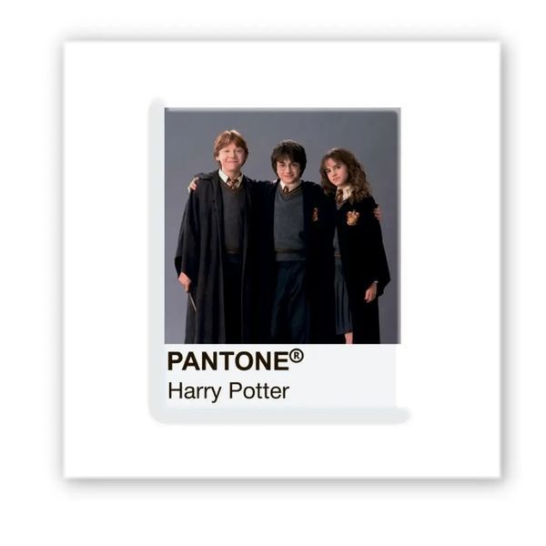 Объемная наклейка "Pantone Potter 2" SX-264 фото