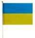Прапор України 14*21 CM px-00173 фото 1