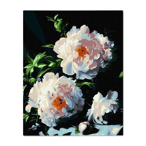 Картина по номерам &laquo;Пионы в лучах&raquo; orner-2077 фото