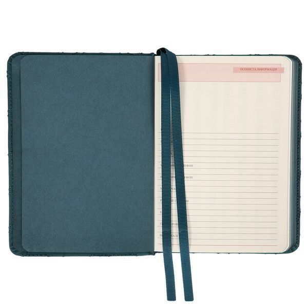 Ежедневник А6 Leo Planner недатированный "Vibe", твердый, темно-бирюзовый, 320 страниц 252709 фото