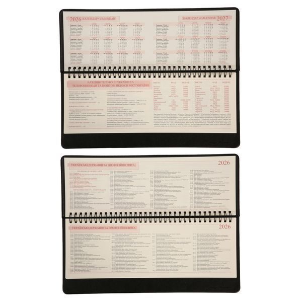 Планинг настольный 30х14 см Leo Planner датированный 2026 "Persona", черный, 128 страниц 252657 фото