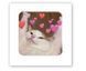 Об'ємна наліпка "Cat love" SX-273 фото 1